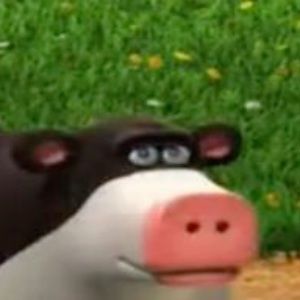 Meet your Posher, Gracelyn